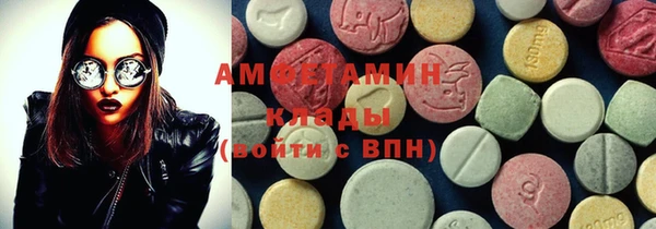 индика Богородицк