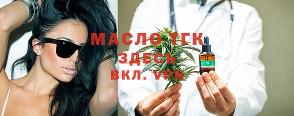 индика Богородицк