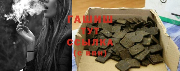 индика Богородицк