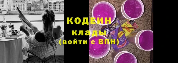 spice Богородск
