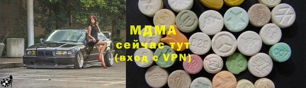 индика Богородицк