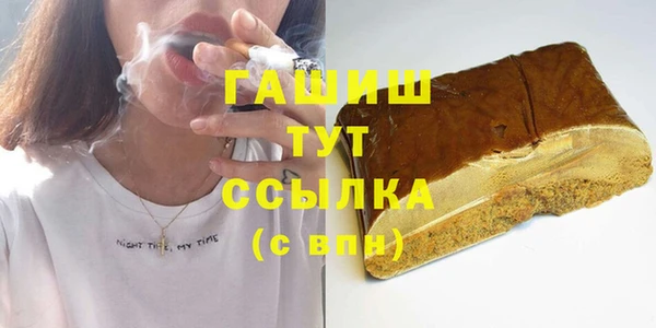 индика Богородицк