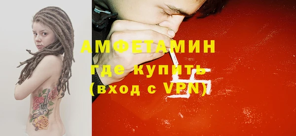 индика Богородицк