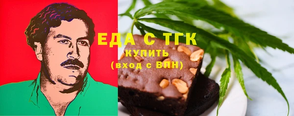 spice Богородск