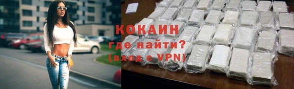 spice Богородск