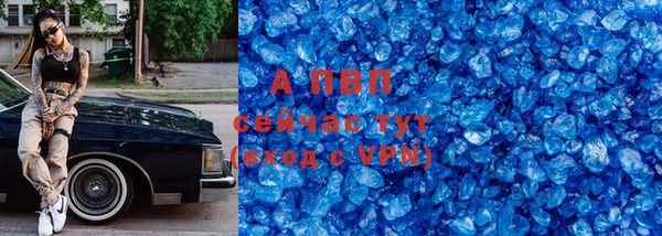 индика Богородицк