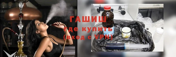 индика Богородицк