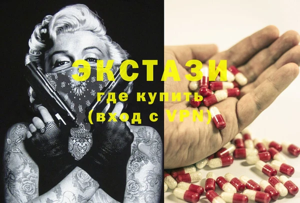 spice Богородск