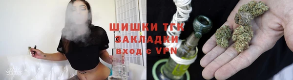 spice Богородск