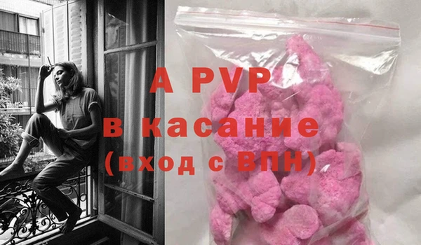 индика Богородицк