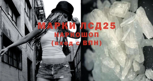 spice Богородск