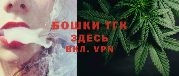 индика Богородицк