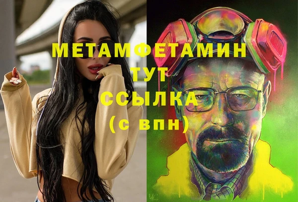 spice Богородск