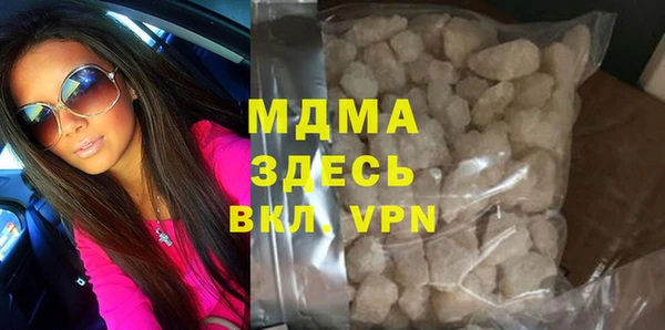 индика Богородицк