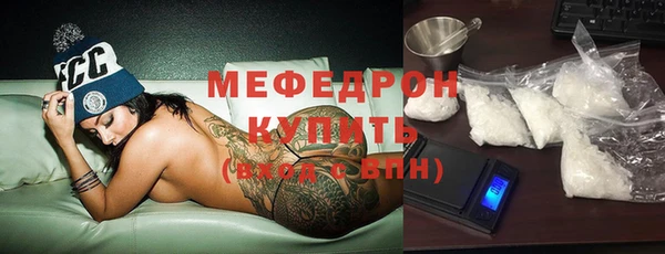индика Богородицк