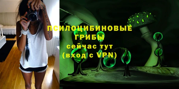 индика Богородицк
