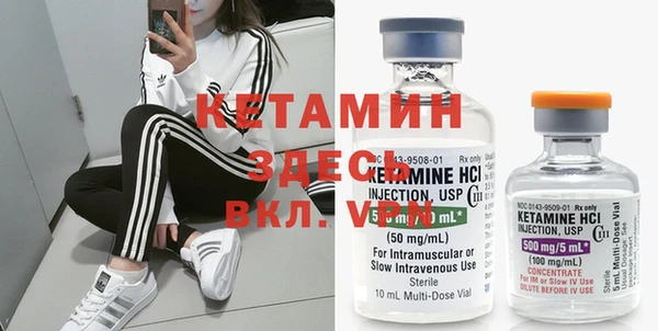индика Богородицк