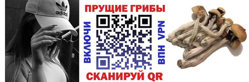 мега онион  Мезень  Галлюциногенные грибы Magic Shrooms  где продают наркотики 